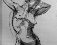 2 minute gesture -31